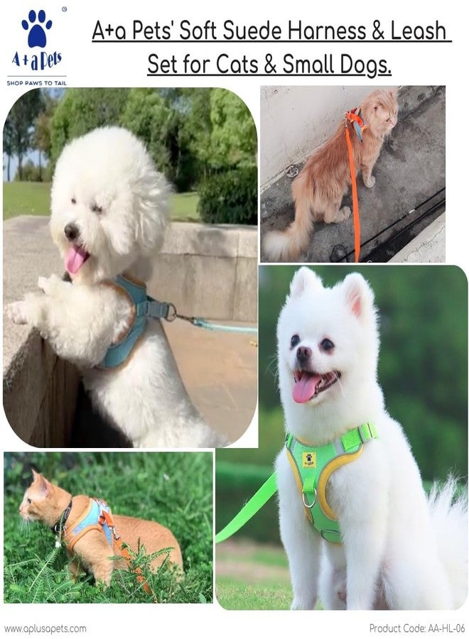 A+a Pets طقم حزام ومقود من جلد الغزال من A+a Pets للقطط والكلاب الصغيرة | مانع للهروب | شرائط عاكسة للسلامة الليلية | نقطتا تثبيت للمقود (متوسط، أخضر) - Image 2
